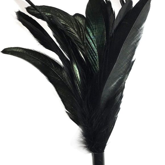 Pet Fit For Life 7 Piece - PLUS BONUS - Replacement Feathers For Interactive Cat - Picture 4 of 8